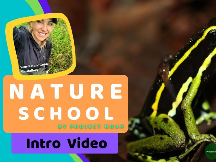 cropped thumbnail for Nature School's intro video