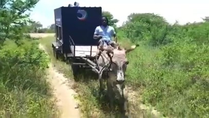 Photo of a person riding a horse pulling a carriage.