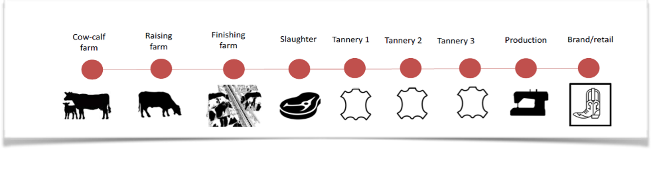 Process for leather supply chains in a linear map