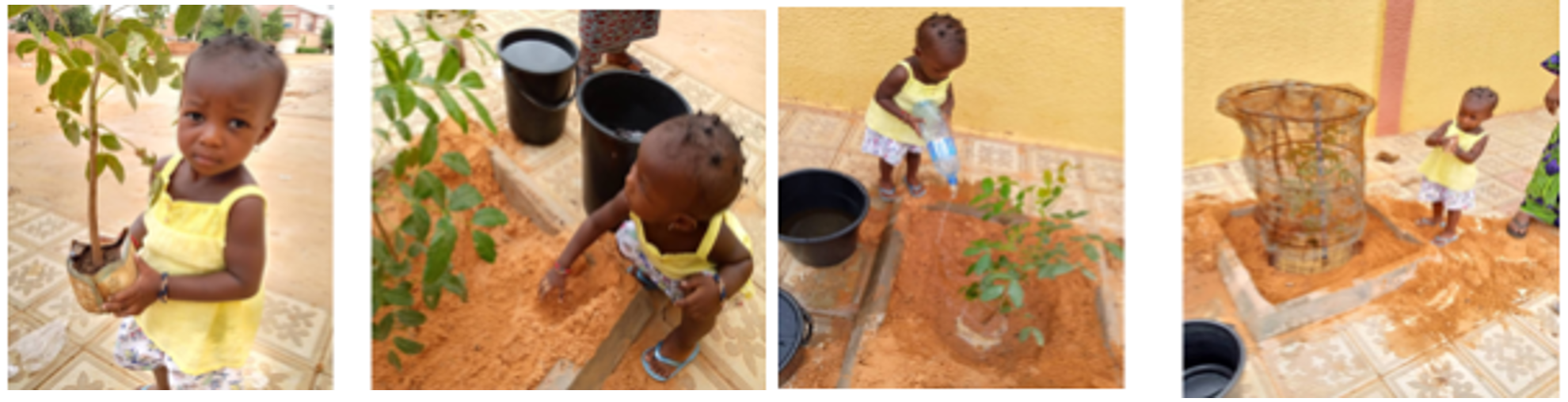 Left to Right: 1: Photo of a young girl holding a tree seedling. 2: Photo of a young girl helping to plant a tree. 3: Photo of a young girl watering a newly planted tree. 4: Photo of a young girl standing next to a staked newly planted tree. 