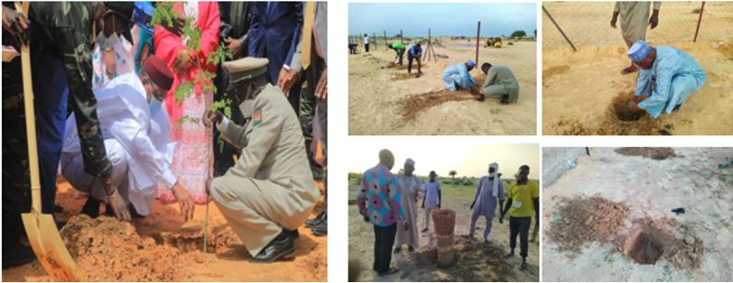 Left: Photo of two men in front of a group of people planting a tree. Top Left on Right: Photo of stakes being put in the ground for trees. Bottom Left on Right: Group of people standing around stakes for a new tree. Top Right on Right: Photo of a man dig