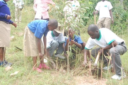 Group of people planting a tree seedling.