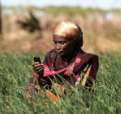 Woman sitting in a field of grass on her cell phone. 