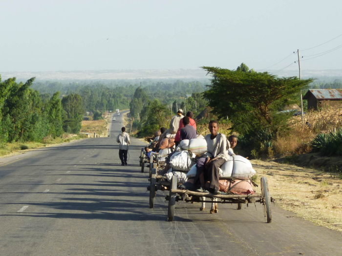 Road, Trees, Cart, People