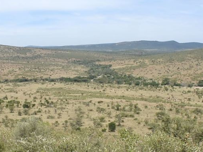 lolindo serengeti grasslands game 