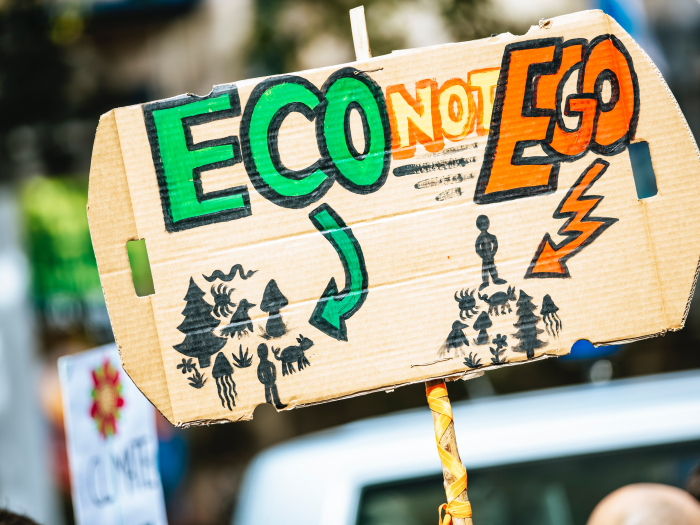 hand-painted cardboard sign that says "ECO NOT EGO" with drawings of nature and people destroying it