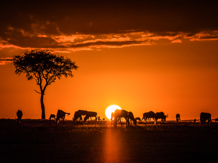 maasai mara sunrise ralf klengel 